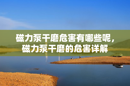 磁力泵干磨危害有哪些呢，磁力泵干磨的危害详解