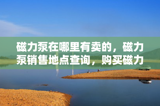 磁力泵在哪里有卖的，磁力泵销售地点查询，购买磁力泵的最佳选择