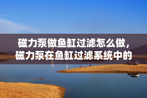 磁力泵做鱼缸过滤怎么做，磁力泵在鱼缸过滤系统中的应用方法