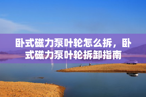卧式磁力泵叶轮怎么拆，卧式磁力泵叶轮拆卸指南