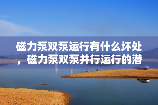 磁力泵双泵运行有什么坏处，磁力泵双泵并行运行的潜在风险