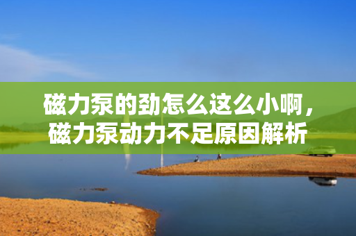 磁力泵的劲怎么这么小啊，磁力泵动力不足原因解析