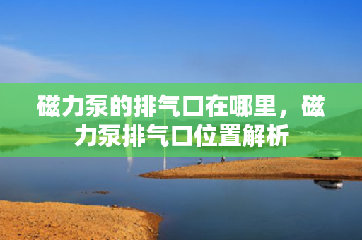 磁力泵的排气口在哪里，磁力泵排气口位置解析