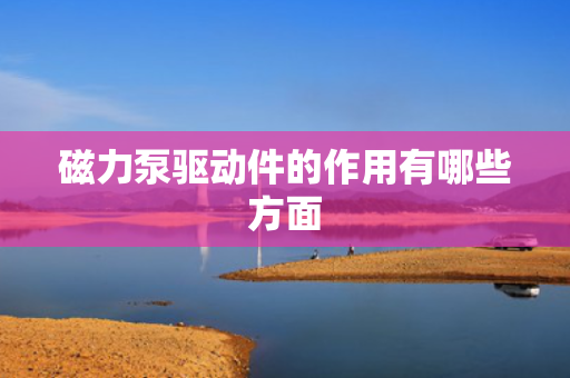 磁力泵驱动件的作用有哪些方面