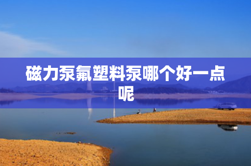 磁力泵氟塑料泵哪个好一点呢
