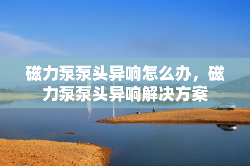 磁力泵泵头异响怎么办，磁力泵泵头异响解决方案