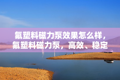 氟塑料磁力泵效果怎么样，氟塑料磁力泵，高效、稳定的流体输送解决方案