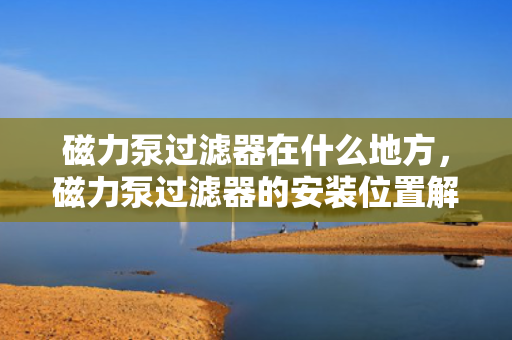 磁力泵过滤器在什么地方，磁力泵过滤器的安装位置解析