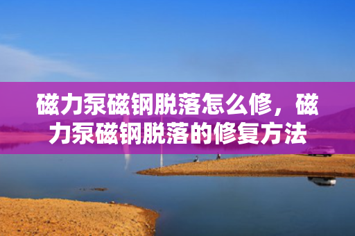 磁力泵磁钢脱落怎么修，磁力泵磁钢脱落的修复方法