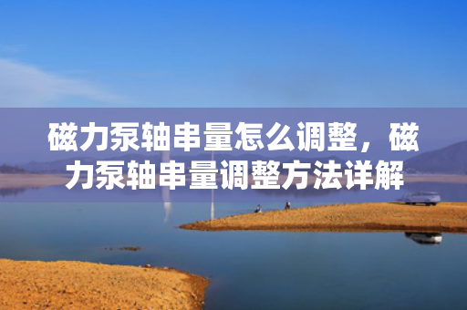 磁力泵轴串量怎么调整，磁力泵轴串量调整方法详解