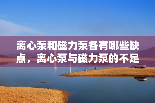 离心泵和磁力泵各有哪些缺点，离心泵与磁力泵的不足之处对比