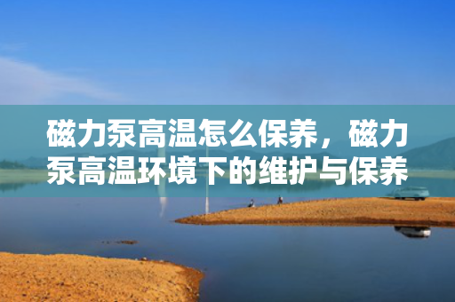 磁力泵高温怎么保养，磁力泵高温环境下的维护与保养指南