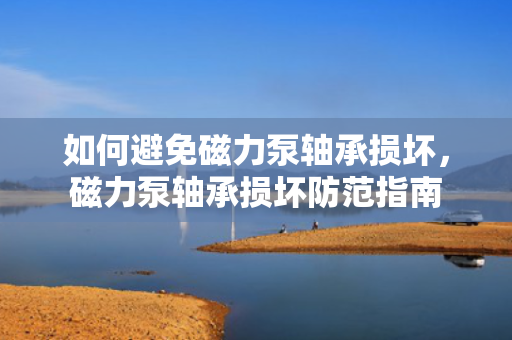 如何避免磁力泵轴承损坏，磁力泵轴承损坏防范指南
