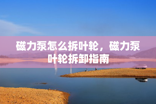 磁力泵怎么拆叶轮，磁力泵叶轮拆卸指南