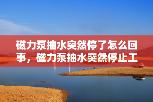 磁力泵抽水突然停了怎么回事，磁力泵抽水突然停止工作的可能原因及解决方法