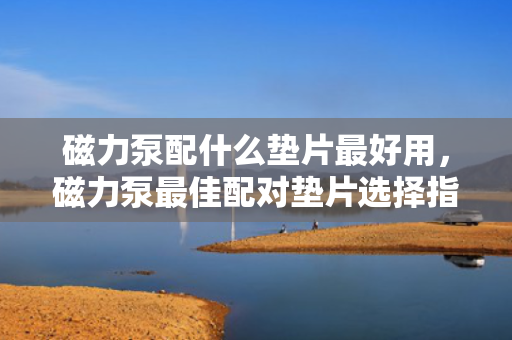 磁力泵配什么垫片最好用，磁力泵最佳配对垫片选择指南