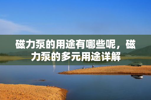 磁力泵的用途有哪些呢，磁力泵的多元用途详解