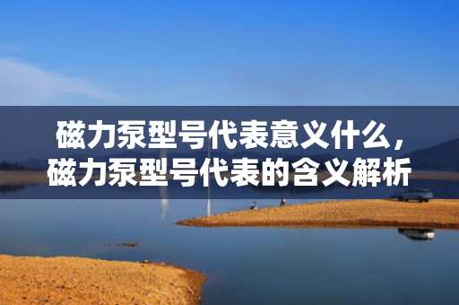 磁力泵型号代表意义什么，磁力泵型号代表的含义解析