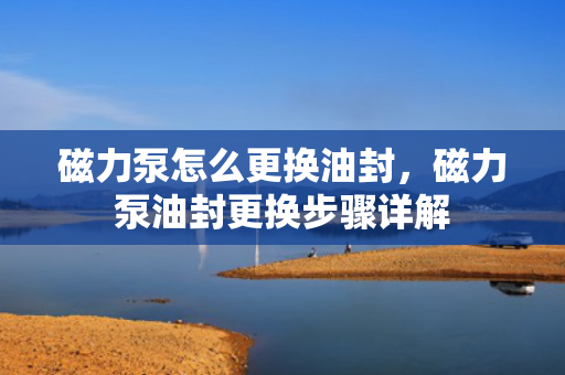 磁力泵怎么更换油封，磁力泵油封更换步骤详解
