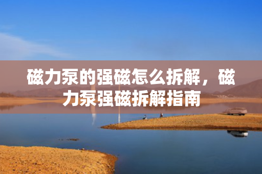 磁力泵的强磁怎么拆解，磁力泵强磁拆解指南