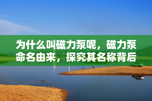 为什么叫磁力泵呢，磁力泵命名由来，探究其名称背后的原因