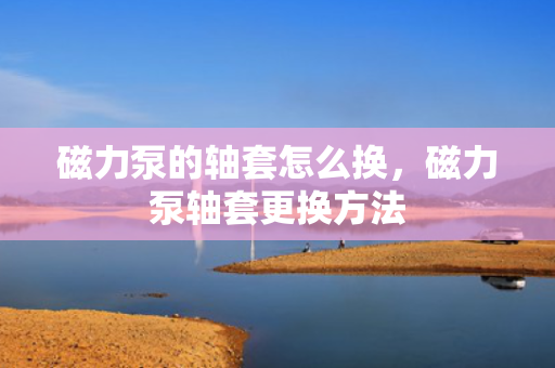 磁力泵的轴套怎么换，磁力泵轴套更换方法