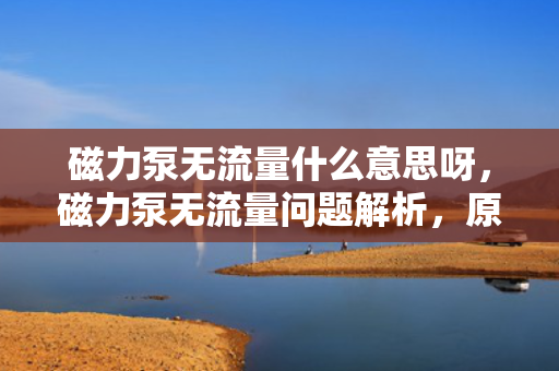 磁力泵无流量什么意思呀，磁力泵无流量问题解析，原因与解决方案