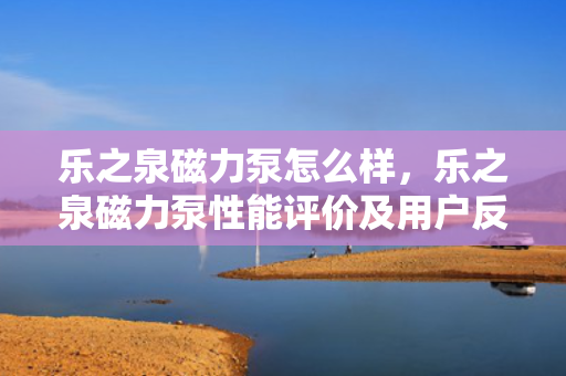 乐之泉磁力泵怎么样，乐之泉磁力泵性能评价及用户反馈
