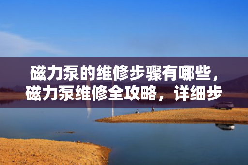 磁力泵的维修步骤有哪些，磁力泵维修全攻略，详细步骤解析