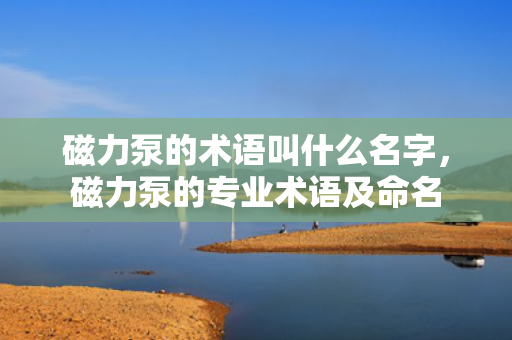 磁力泵的术语叫什么名字，磁力泵的专业术语及命名