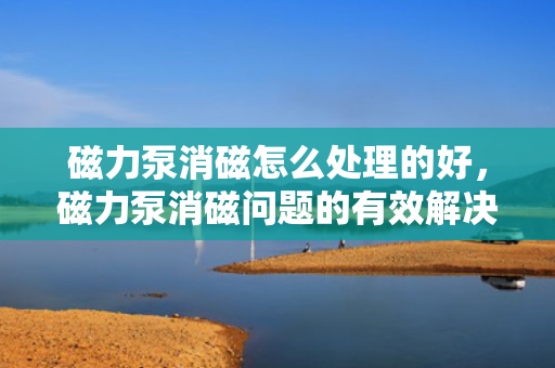 磁力泵消磁怎么处理的好，磁力泵消磁问题的有效解决方法