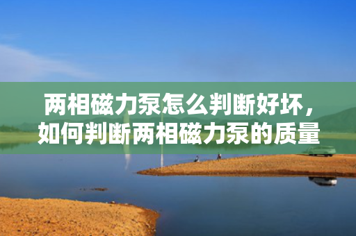 两相磁力泵怎么判断好坏，如何判断两相磁力泵的质量优劣？
