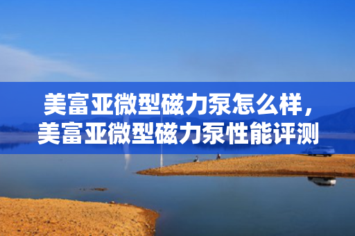 美富亚微型磁力泵怎么样，美富亚微型磁力泵性能评测及用户反馈