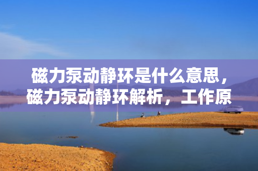磁力泵动静环是什么意思，磁力泵动静环解析，工作原理与功能介绍