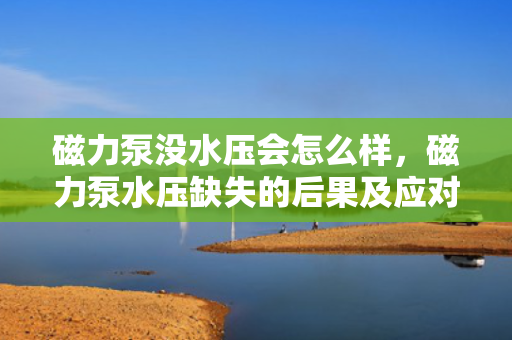 磁力泵没水压会怎么样，磁力泵水压缺失的后果及应对措施