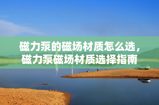 磁力泵的磁场材质怎么选，磁力泵磁场材质选择指南