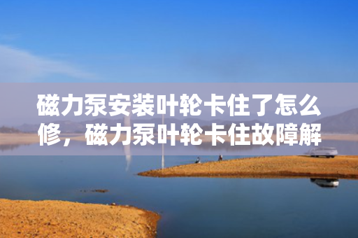 磁力泵安装叶轮卡住了怎么修，磁力泵叶轮卡住故障解决方案