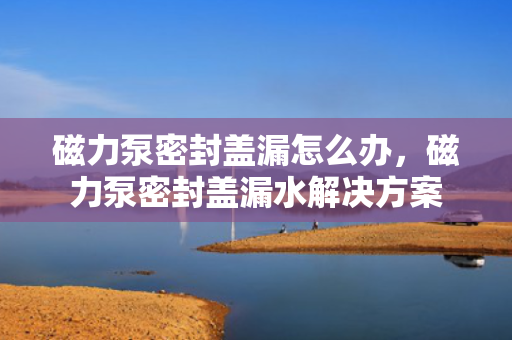 磁力泵密封盖漏怎么办，磁力泵密封盖漏水解决方案