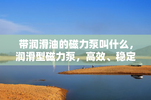 带润滑油的磁力泵叫什么，润滑型磁力泵，高效、稳定的流体输送解决方案