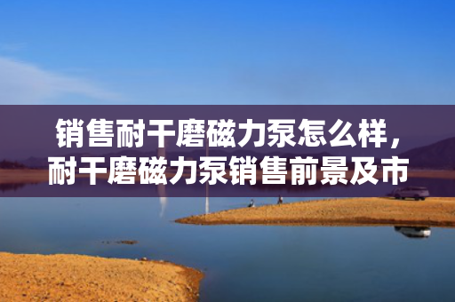 销售耐干磨磁力泵怎么样，耐干磨磁力泵销售前景及市场优势分析