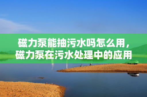 磁力泵能抽污水吗怎么用，磁力泵在污水处理中的应用方法与注意事项