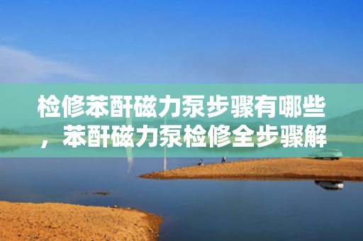 检修苯酐磁力泵步骤有哪些，苯酐磁力泵检修全步骤解析