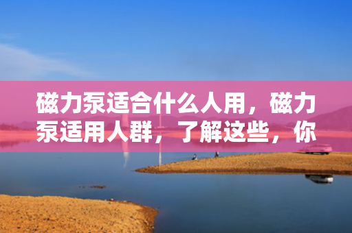 磁力泵适合什么人用，磁力泵适用人群，了解这些，你就知道是否适合使用磁力泵了