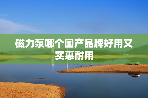 磁力泵哪个国产品牌好用又实惠耐用