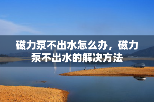 磁力泵不出水怎么办，磁力泵不出水的解决方法