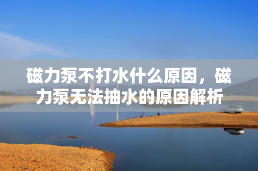 磁力泵不打水什么原因，磁力泵无法抽水的原因解析