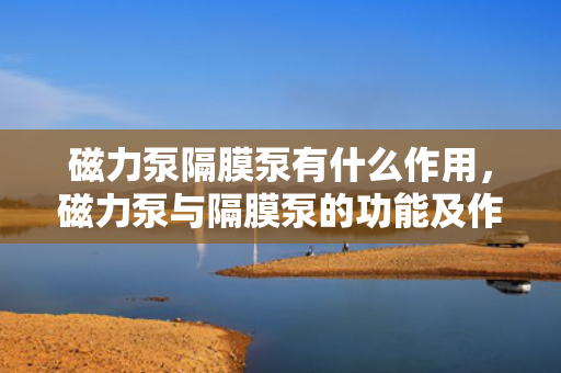 磁力泵隔膜泵有什么作用，磁力泵与隔膜泵的功能及作用解析