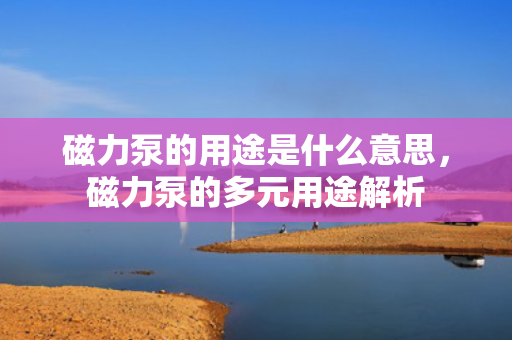 磁力泵的用途是什么意思，磁力泵的多元用途解析