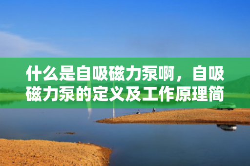 什么是自吸磁力泵啊，自吸磁力泵的定义及工作原理简介