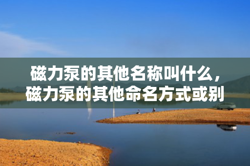 磁力泵的其他名称叫什么，磁力泵的其他命名方式或别称是什么
